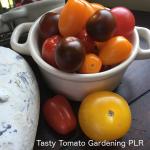 Tasty Tomato Gardening