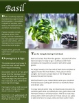 Culinary Herb Gardening Pack
