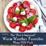 New & Improved Warm Weather Favorites Mega PLR Pack